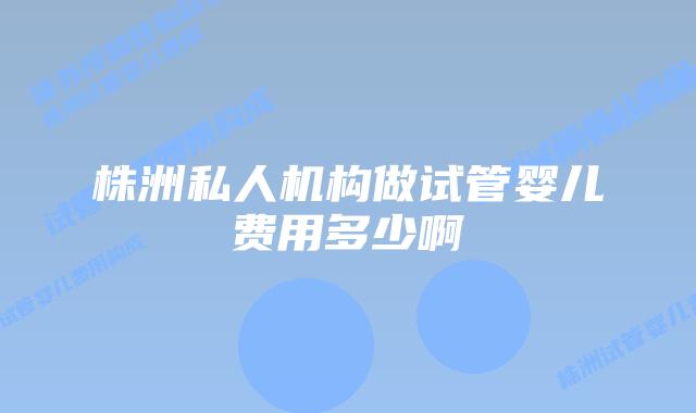株洲私人机构做试管婴儿费用多少啊