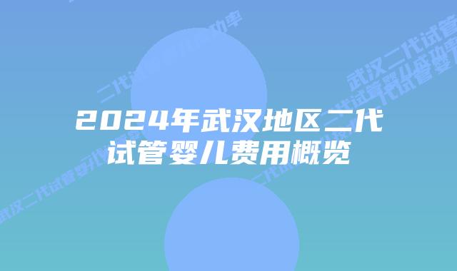 2024年武汉地区二代试管婴儿费用概览