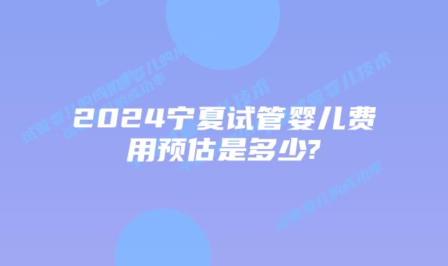 2024宁夏试管婴儿费用预估是多少?