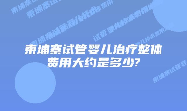柬埔寨试管婴儿治疗整体费用大约是多少?