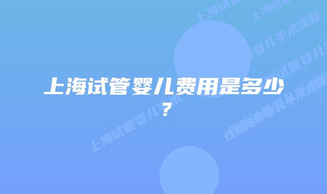 上海试管婴儿费用是多少?