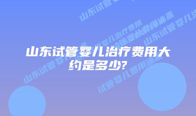 山东试管婴儿治疗费用大约是多少?