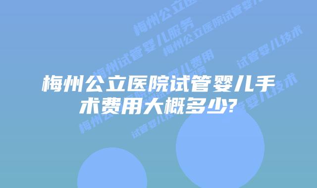 梅州公立医院试管婴儿手术费用大概多少?