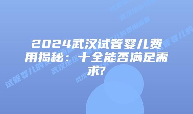 2024武汉试管婴儿费用揭秘：十全能否满足需求?