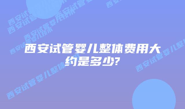 西安试管婴儿整体费用大约是多少?