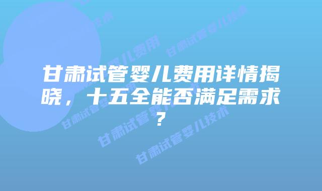 甘肃试管婴儿费用详情揭晓,十五全能否满足需求?
