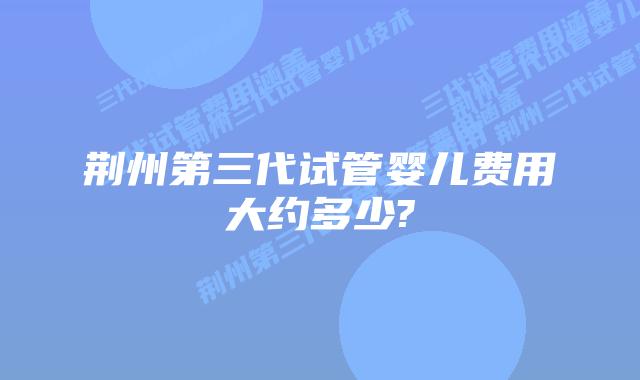 荆州第三代试管婴儿费用大约多少?
