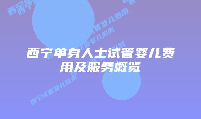 西宁单身人士试管婴儿费用及服务概览
