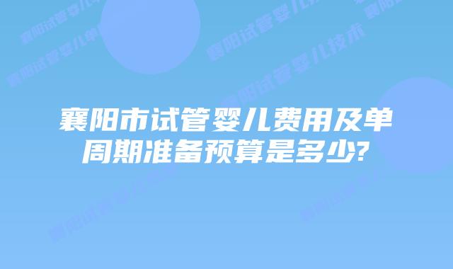 襄阳市试管婴儿费用及单周期准备预算是多少?