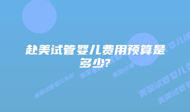 赴美试管婴儿费用预算是多少?