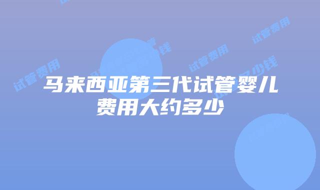 马来西亚第三代试管婴儿费用大约多少