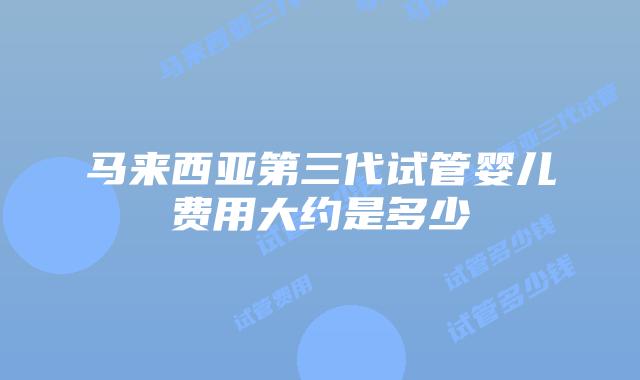 马来西亚第三代试管婴儿费用大约是多少
