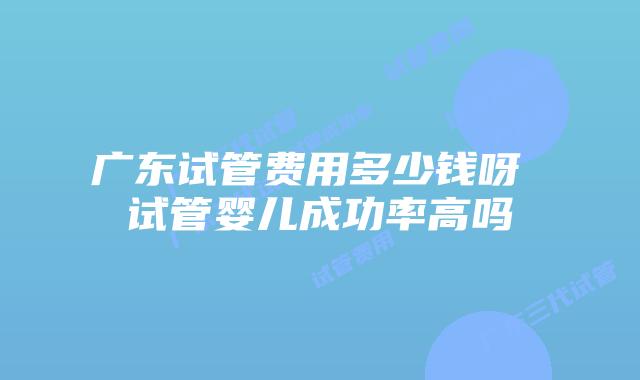 广东试管费用多少钱呀 试管婴儿成功率高吗