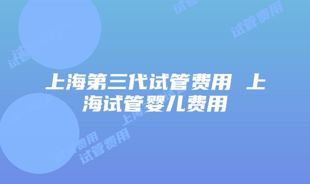 上海第三代试管费用 上海试管婴儿费用