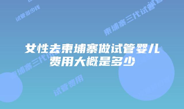女性去柬埔寨做试管婴儿费用大概是多少