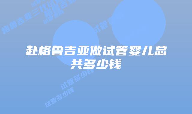 赴格鲁吉亚做试管婴儿总共多少钱