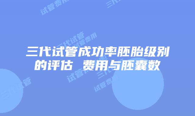 三代试管成功率胚胎级别的评估 费用与胚囊数