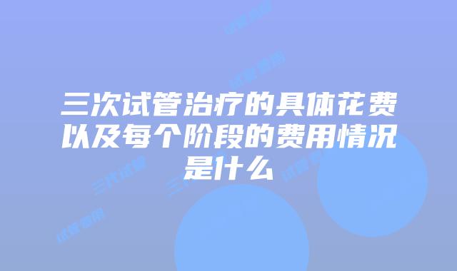 三次试管治疗的具体花费以及每个阶段的费用情况是什么
