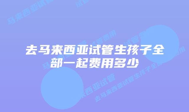 去马来西亚试管生孩子全部一起费用多少