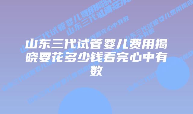 山东三代试管婴儿费用揭晓要花多少钱看完心中有数