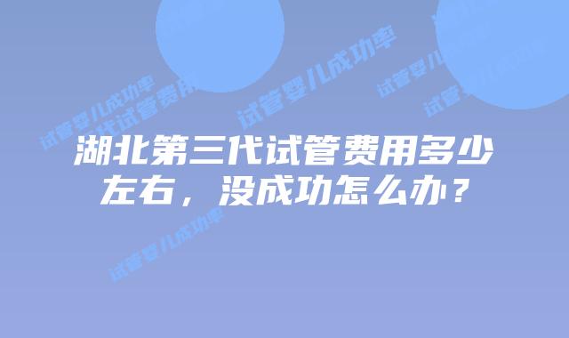 湖北第三代试管费用多少左右,没成功怎么办?
