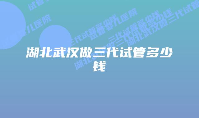 湖北武汉做三代试管多少钱
