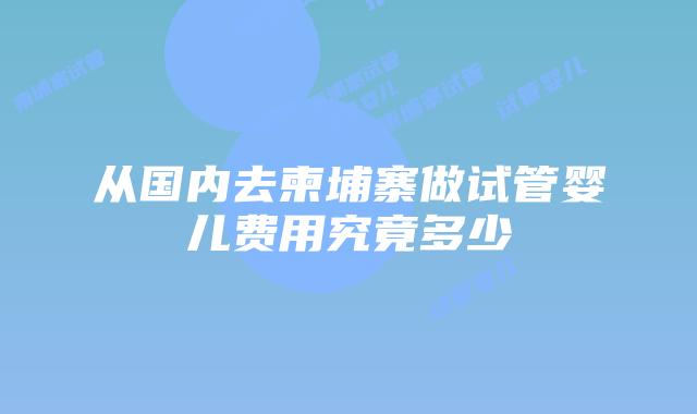 从国内去柬埔寨做试管婴儿费用究竟多少