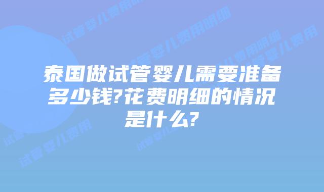 泰国做试管婴儿需要准备多少钱?花费明细的情况是什么?