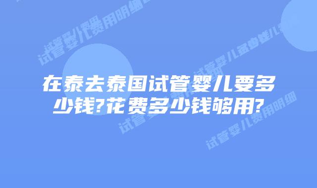 在泰去泰国试管婴儿要多少钱?花费多少钱够用?