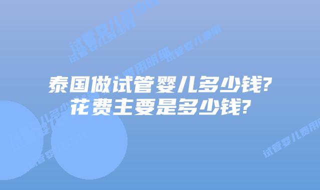 泰国做试管婴儿多少钱?花费主要是多少钱?