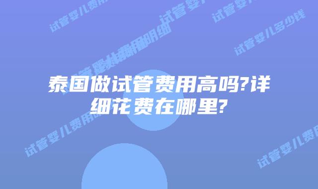 泰国做试管费用高吗?详细花费在哪里?