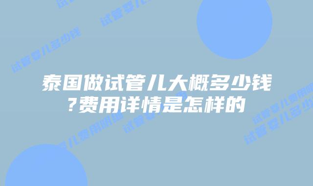 泰国做试管儿大概多少钱?费用详情是怎样的