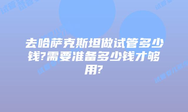 去哈萨克斯坦做试管多少钱?需要准备多少钱才够用?