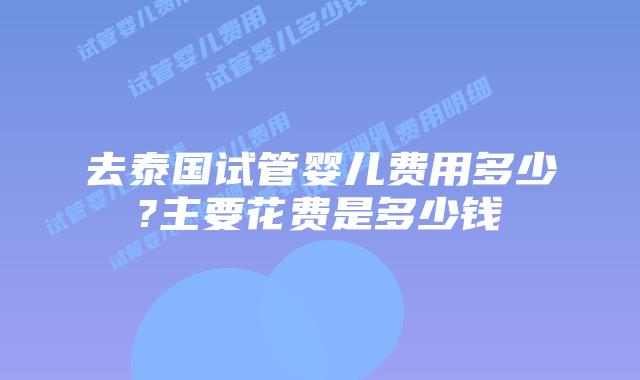 去泰国试管婴儿费用多少?主要花费是多少钱
