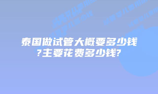 泰国做试管大概要多少钱?主要花费多少钱?