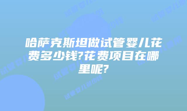哈萨克斯坦做试管婴儿花费多少钱?花费项目在哪里呢?