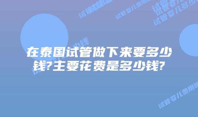 在泰国试管做下来要多少钱?主要花费是多少钱?