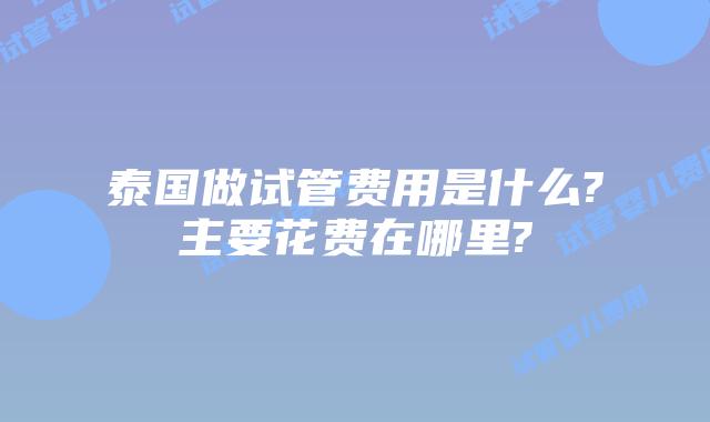 泰国做试管费用是什么?主要花费在哪里?