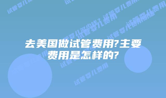 去美国做试管费用?主要费用是怎样的?