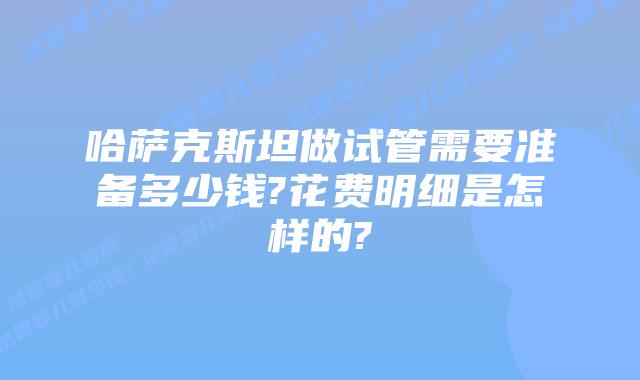 哈萨克斯坦做试管需要准备多少钱?花费明细是怎样的?