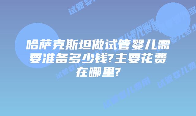 哈萨克斯坦做试管婴儿需要准备多少钱?主要花费在哪里?