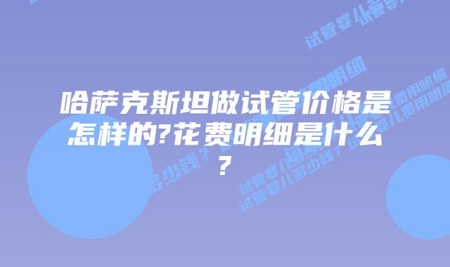 哈萨克斯坦做试管价格是怎样的?花费明细是什么?