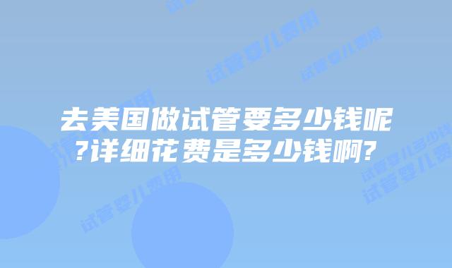 去美国做试管要多少钱呢?详细花费是多少钱啊?