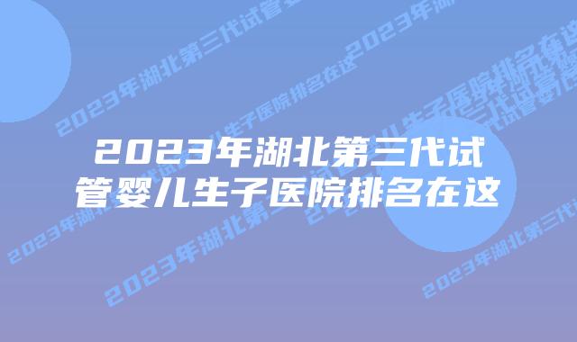 2023年湖北第三代试管婴儿生子医院排名在这