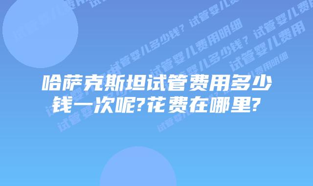 哈萨克斯坦试管费用多少钱一次呢?花费在哪里?