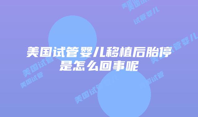 美国试管婴儿移植后胎停是怎么回事呢