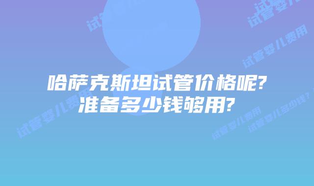 哈萨克斯坦试管价格呢?准备多少钱够用?