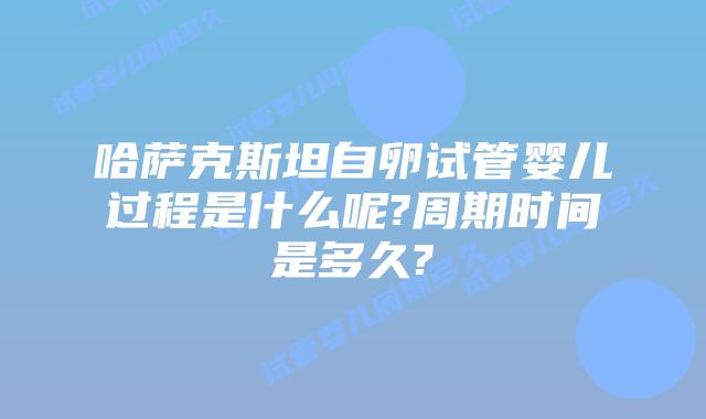 哈萨克斯坦自卵试管婴儿过程是什么呢?周期时间是多久?