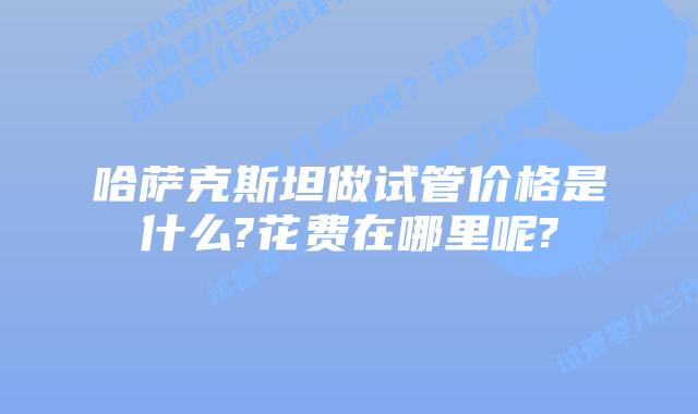 哈萨克斯坦做试管价格是什么?花费在哪里呢?