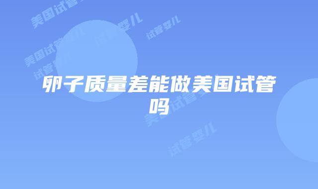 卵子质量差能做美国试管吗